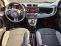 Fiat Panda 1.0 firefly hybrid 70cv - UNICO PROPRIETARIO Grigio - thumbnail 10