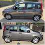 Fiat Panda 1.0 firefly hybrid 70cv - UNICO PROPRIETARIO Grigio - thumbnail 5