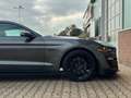 Ford Mustang GT 5.0 466 PS Handschaltung Gris - thumbnail 12