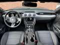 Ford Mustang GT 5.0 466 PS Handschaltung Gris - thumbnail 6