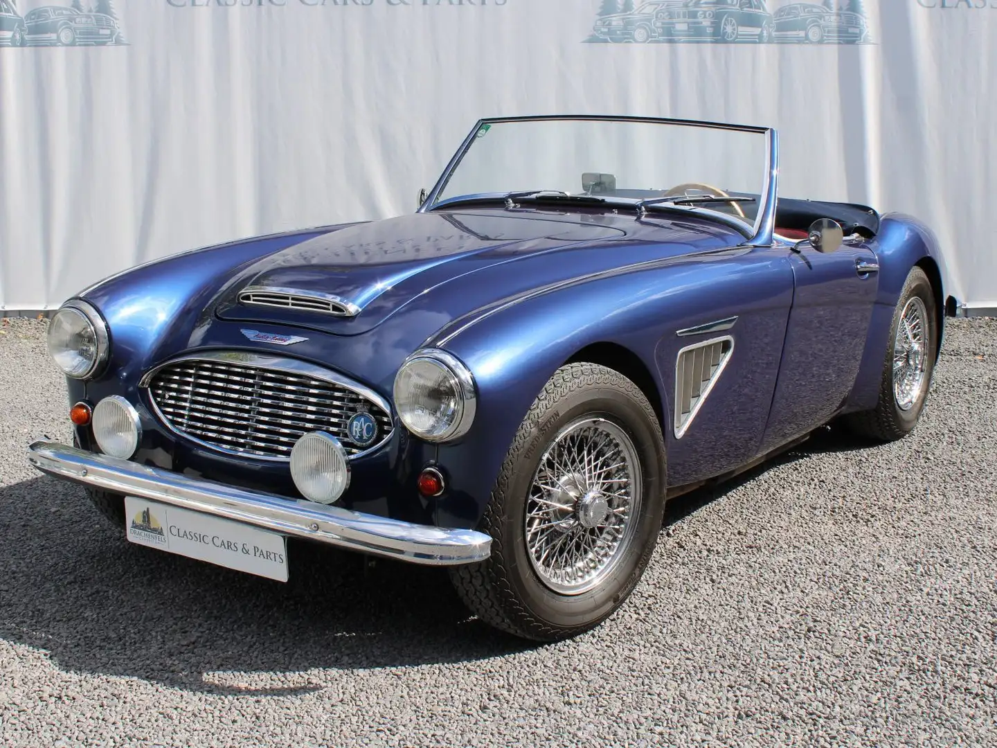 Austin-Healey 3000 BN7 - LHD, Getrag 5-Gang, Wertgutachten Blau - 1