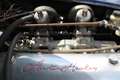 Austin-Healey 3000 BN7 - LHD, Getrag 5-Gang, Wertgutachten Blau - thumbnail 40