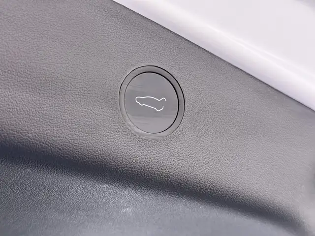 Tesla Model 3 view 24