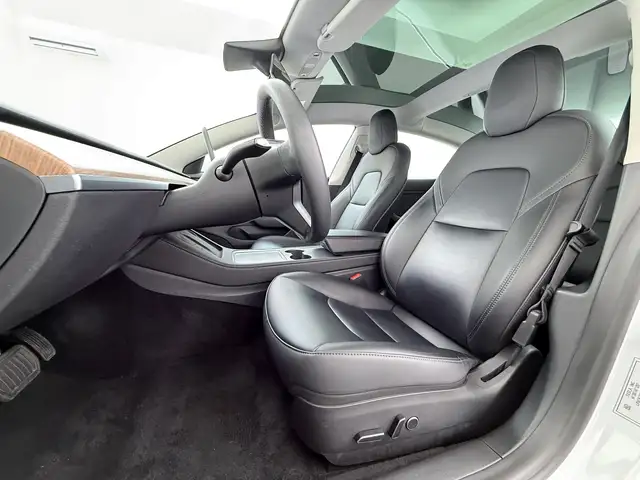 Tesla Model 3 view 11