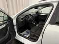 Skoda Octavia Combi 2.0 TDI DSG Drive LIMITED EDITION Weiß - thumbnail 9