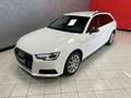 Audi A4 2.0 tdi Business quattro 190cv s-tronic Wit - thumbnail 16