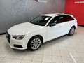 Audi A4 2.0 tdi Business quattro 190cv s-tronic Blanc - thumbnail 18