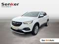 Opel Grandland X Innovation Weiß - thumbnail 1