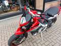 MV Agusta Rivale 800 Rot - thumbnail 14