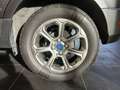 Ford EcoSport EcoSport 1.5 ecoblue Titanium s&s 100cv my19 Gris - thumbnail 7