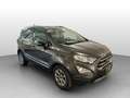 Ford EcoSport EcoSport 1.5 ecoblue Titanium s&s 100cv my19 Gris - thumbnail 3