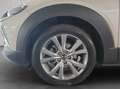 Mazda CX-30 e-SKYACTIVE G 140 Aut. EXCLUSIVE-LINE Beige - thumbnail 13