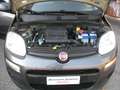 Fiat Panda 1.2 Lounge 69cv SOLO KM 82.000 CERTIFICATI Grigio - thumbnail 8