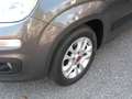 Fiat Panda 1.2 Lounge 69cv SOLO KM 82.000 CERTIFICATI Grigio - thumbnail 6
