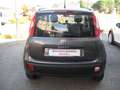 Fiat Panda 1.2 Lounge 69cv SOLO KM 82.000 CERTIFICATI Grigio - thumbnail 4