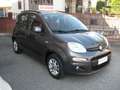 Fiat Panda 1.2 Lounge 69cv SOLO KM 82.000 CERTIFICATI Grigio - thumbnail 5