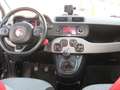 Fiat Panda 1.2 Lounge 69cv SOLO KM 82.000 CERTIFICATI Grigio - thumbnail 15