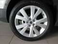 SEAT Arona 1.0 TSI S&S Xperience DSG7 XM 115 Blanco - thumbnail 8