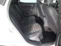 SEAT Arona 1.0 TSI S&S Xperience DSG7 XM 115 Blanco - thumbnail 6