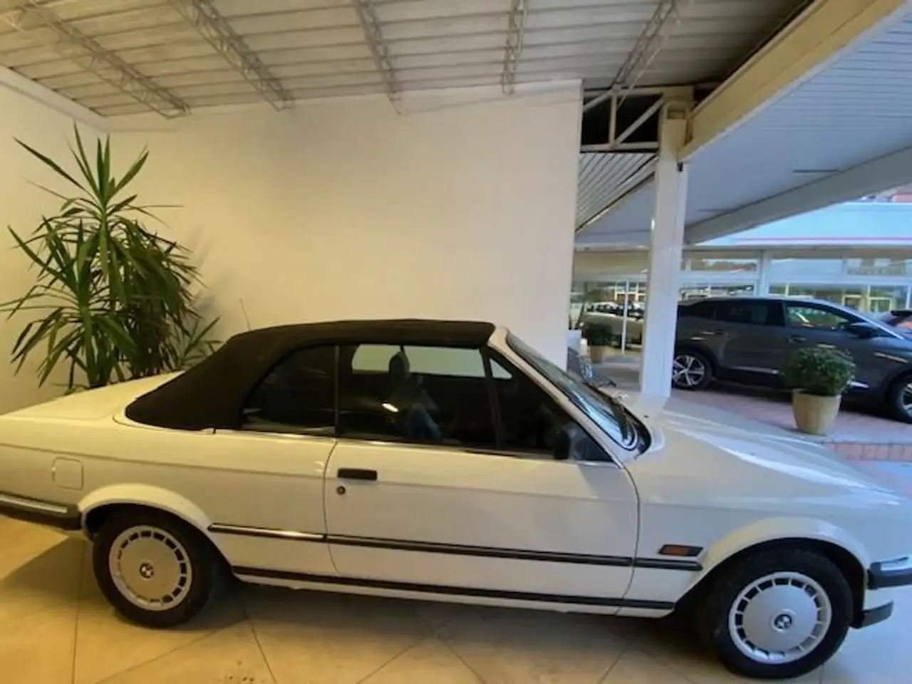 BMW 320i Cabrio, foto 4