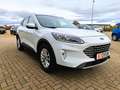 Ford Kuga Titanium X 4x4 AUTOMATIK B&O-SOUND PANODACH Weiß - thumbnail 3