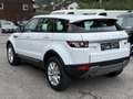 Land Rover Range Rover Evoque 2.2 TD4 Aut. Allrad NUR 89.000 KM TÜV NEU Weiß - thumbnail 4