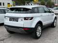 Land Rover Range Rover Evoque 2.2 TD4 Aut. Allrad NUR 89.000 KM TÜV NEU Weiß - thumbnail 6