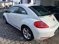 Volkswagen Beetle 2.0 TDI Sport,Navi,PDC,Sitzhz.,Klimatr. Weiß - thumbnail 5