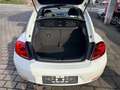 Volkswagen Beetle 2.0 TDI Sport,Navi,PDC,Sitzhz.,Klimatr. Weiß - thumbnail 19