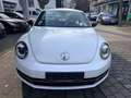 Volkswagen Beetle 2.0 TDI Sport,Navi,PDC,Sitzhz.,Klimatr. Weiß - thumbnail 2