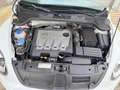 Volkswagen Beetle 2.0 TDI Sport,Navi,PDC,Sitzhz.,Klimatr. Weiß - thumbnail 16