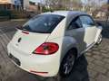 Volkswagen Beetle 2.0 TDI Sport,Navi,PDC,Sitzhz.,Klimatr. Weiß - thumbnail 4