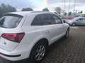 Audi Q5 2.0 TDI clean diesel/ultra (110 kW) quattro Weiß - thumbnail 6