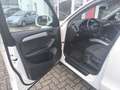Audi Q5 2.0 TDI clean diesel/ultra (110 kW) quattro Weiß - thumbnail 18