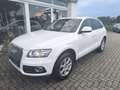 Audi Q5 2.0 TDI clean diesel/ultra (110 kW) quattro Weiß - thumbnail 4