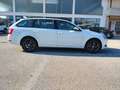 Skoda Octavia 1.5 DSG Wagon Executive G-Tec Bianco - thumbnail 5