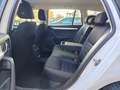 Skoda Octavia 1.5 DSG Wagon Executive G-Tec Bianco - thumbnail 12