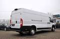 Citroen Jumper Grossraumkasten 35 L4H2 Control Heavy Blu Weiß - thumbnail 3