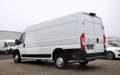 Citroen Jumper Grossraumkasten 35 L4H2 Control Heavy Blu Weiß - thumbnail 4