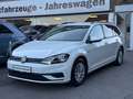 Volkswagen Golf 1.4 TGI BlueMotion Variant Business PDC AHK Bianco - thumbnail 4