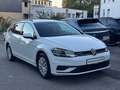 Volkswagen Golf 1.4 TGI BlueMotion Variant Business PDC AHK Bianco - thumbnail 3