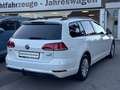 Volkswagen Golf 1.4 TGI BlueMotion Variant Business PDC AHK Bianco - thumbnail 7
