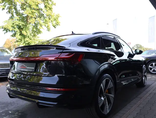 Audi E-Tron view 13