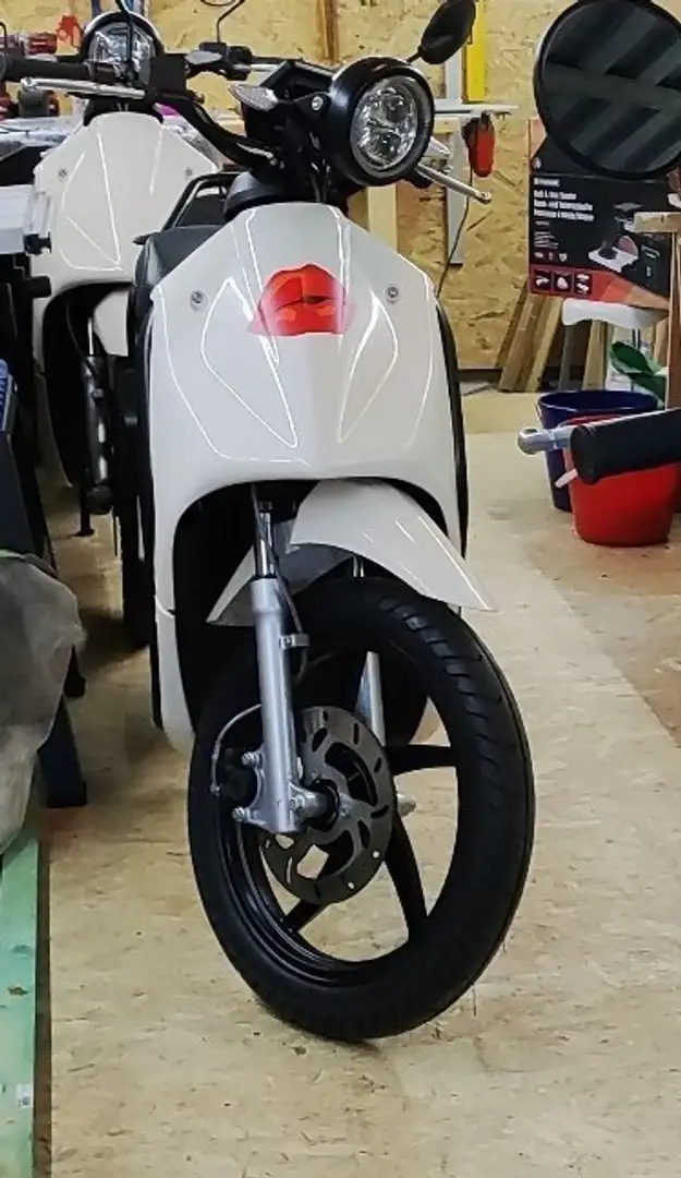 Govecs Biały - 1