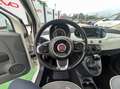 Fiat 500 1.3 mjt Lounge 95cv Weiß - thumbnail 15