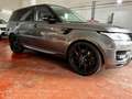 Land Rover Range Rover Sport 3.0TDV6 SE Aut. Grau - thumbnail 3