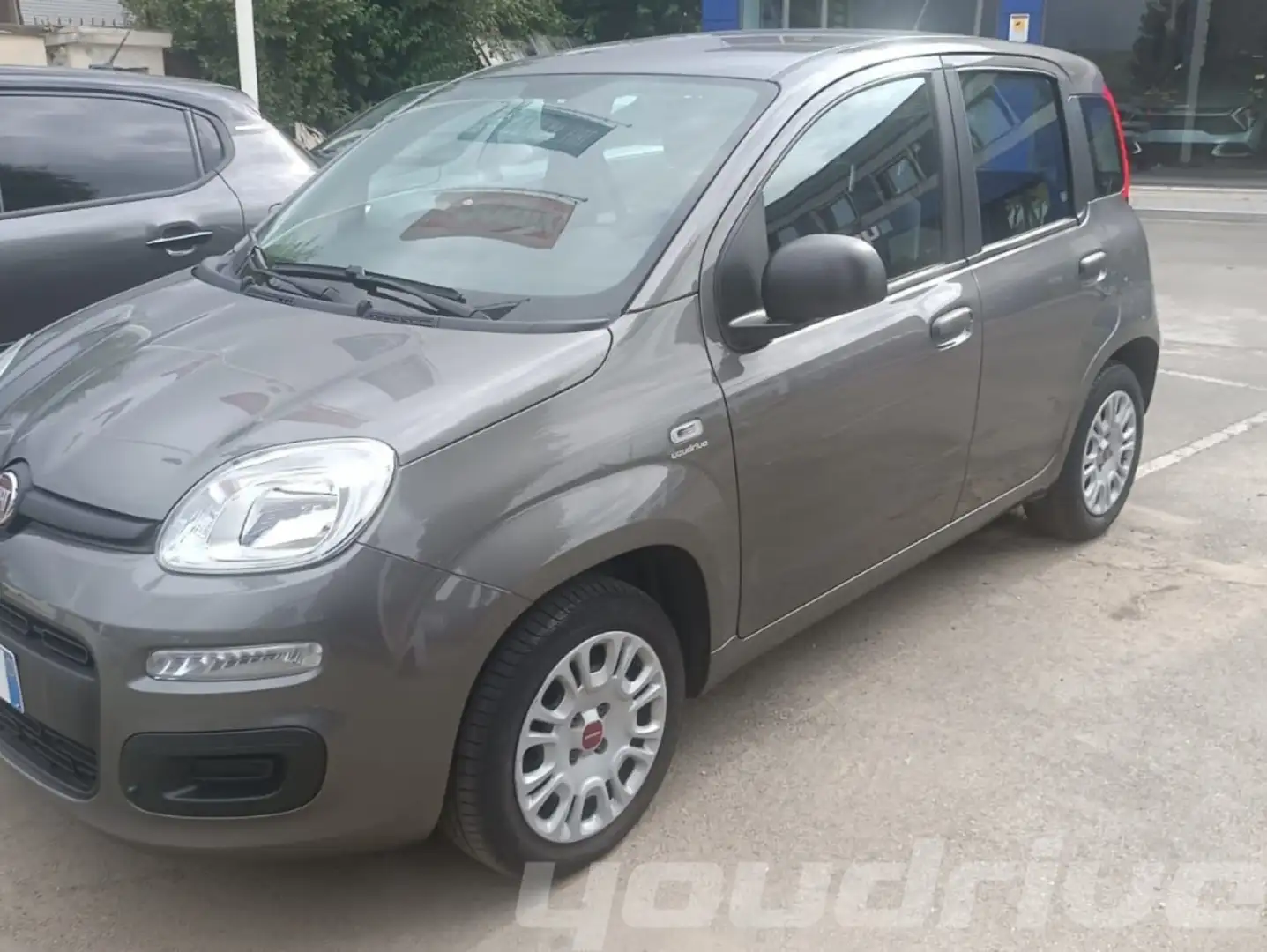 Fiat Panda 1.2 EasyPower GPL KM 113.900 Grau - 2