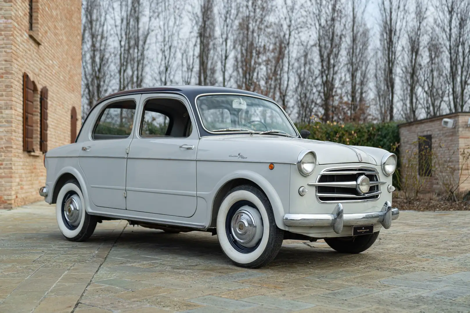 Fiat 1100 TV Gris - 1