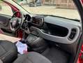 Fiat Panda 1.0 firefly hybrid Cross s Rood - thumbnail 14