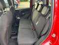 Fiat Panda 1.0 firefly hybrid Cross s Rood - thumbnail 10